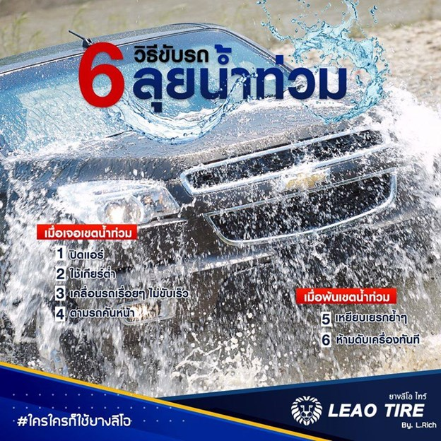lop-leao-chinh-hang-624x624.png